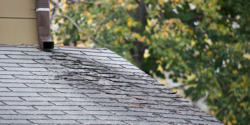 Roof Inspection in Fort Mill, South Carolina
